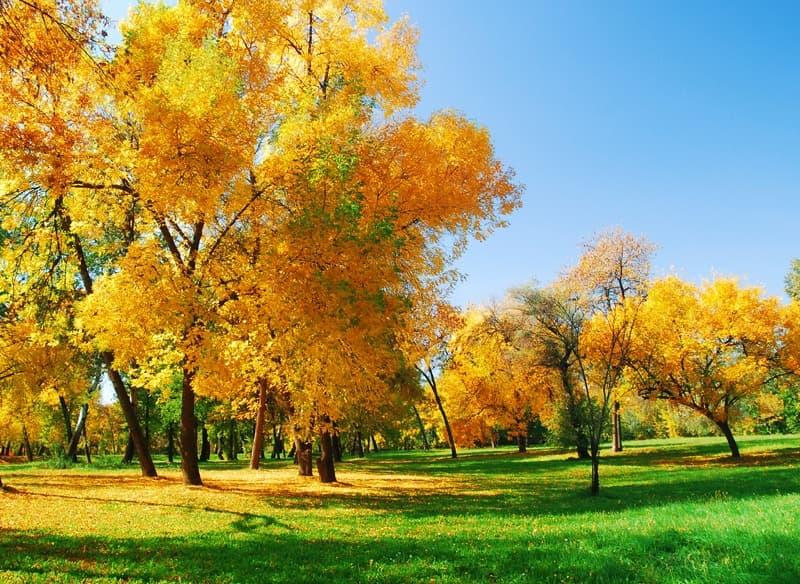 <span  class="uc_style_uc_tiles_grid_image_elementor_uc_items_attribute_title" style="color:#ffffff;">1516</span>