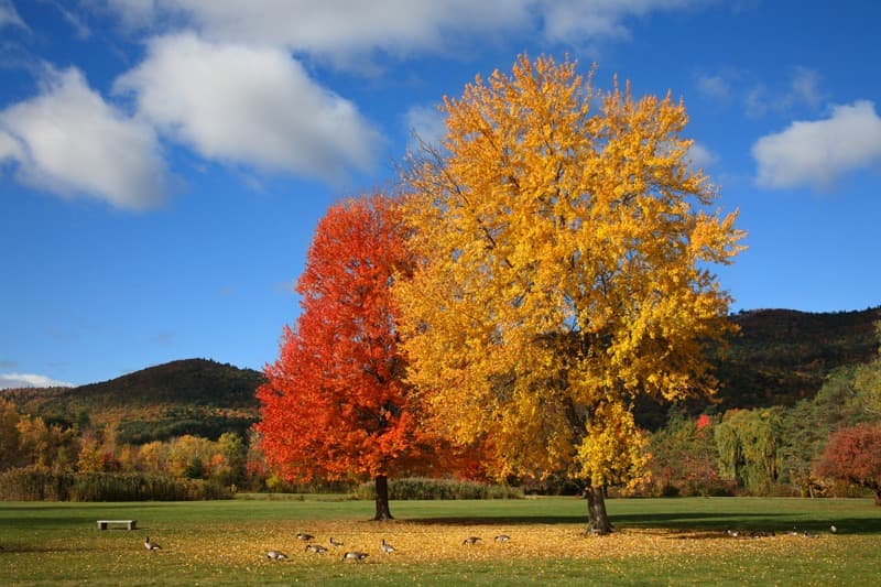 <span  class="uc_style_uc_tiles_grid_image_elementor_uc_items_attribute_title" style="color:#ffffff;">1563</span>
