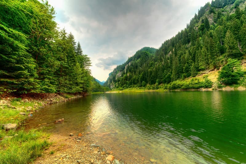 <span  class="uc_style_uc_tiles_grid_image_elementor_uc_items_attribute_title" style="color:#ffffff;">1573</span>