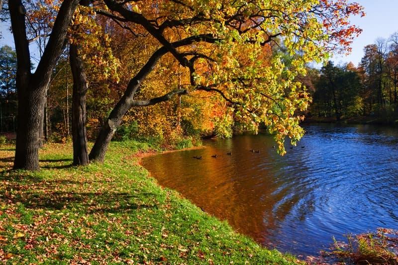 <span  class="uc_style_uc_tiles_grid_image_elementor_uc_items_attribute_title" style="color:#ffffff;">1648</span>