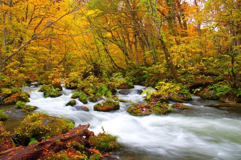 <span  class="uc_style_uc_tiles_grid_image_elementor_uc_items_attribute_title" style="color:#ffffff;">1674</span>