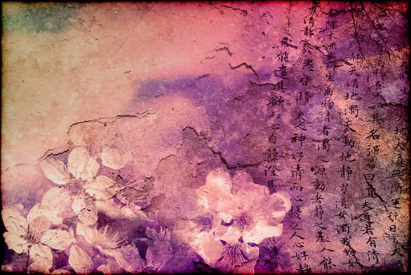<span  class="uc_style_uc_tiles_grid_image_elementor_uc_items_attribute_title" style="color:#ffffff;">2000</span>