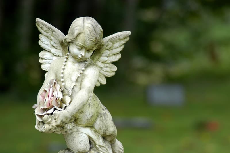<span  class="uc_style_uc_tiles_grid_image_elementor_uc_items_attribute_title" style="color:#ffffff;">2006</span>