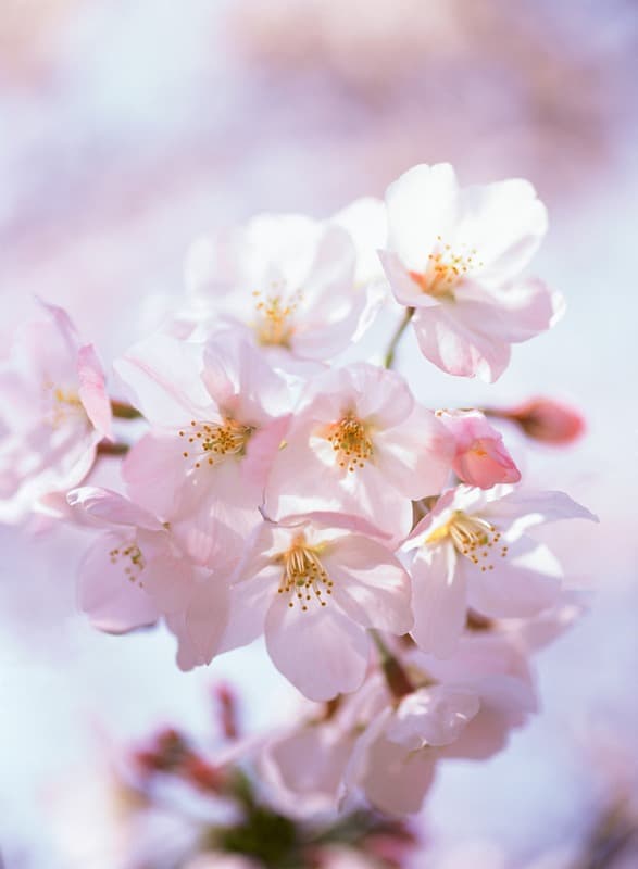 <span  class="uc_style_uc_tiles_grid_image_elementor_uc_items_attribute_title" style="color:#ffffff;">2231</span>
