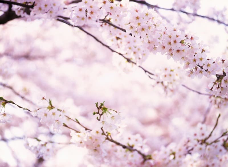 <span  class="uc_style_uc_tiles_grid_image_elementor_uc_items_attribute_title" style="color:#ffffff;">2233</span>