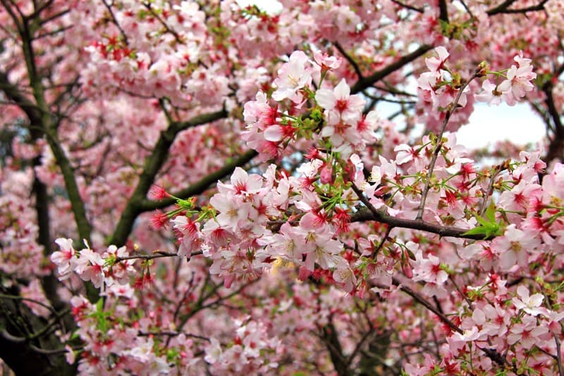 <span  class="uc_style_uc_tiles_grid_image_elementor_uc_items_attribute_title" style="color:#ffffff;">2235</span>