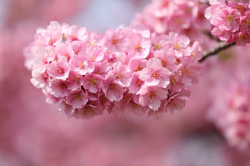 <span  class="uc_style_uc_tiles_grid_image_elementor_uc_items_attribute_title" style="color:#ffffff;">2236</span>
