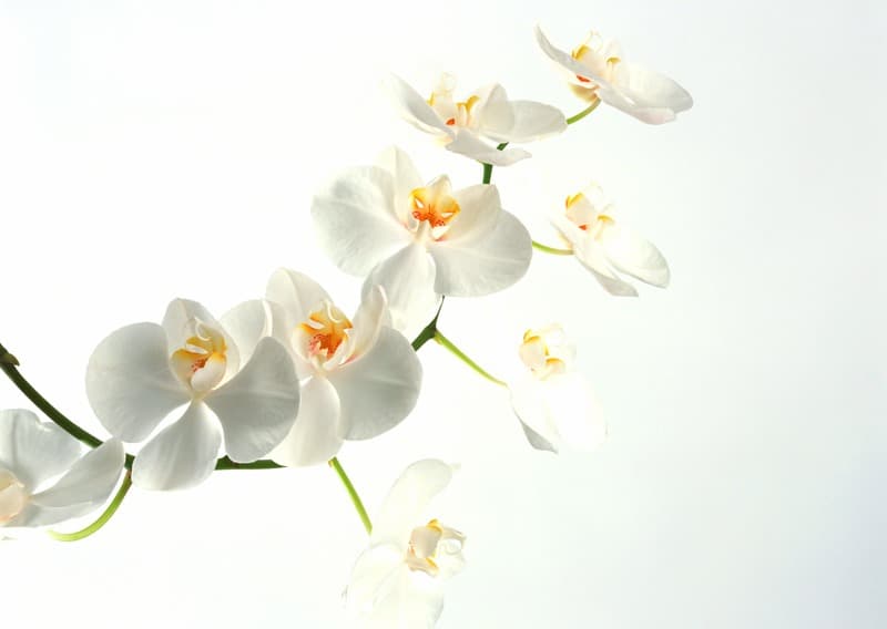 <span  class="uc_style_uc_tiles_grid_image_elementor_uc_items_attribute_title" style="color:#ffffff;">2241</span>