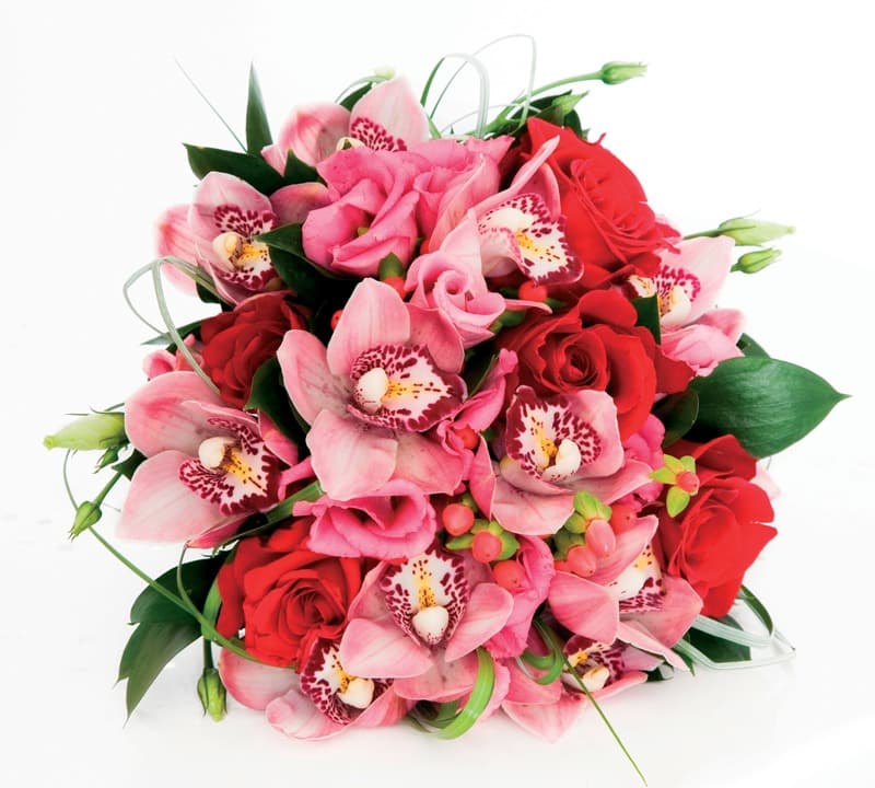 <span  class="uc_style_uc_tiles_grid_image_elementor_uc_items_attribute_title" style="color:#ffffff;">2243</span>