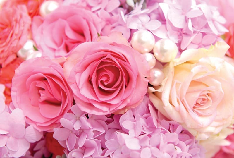 <span  class="uc_style_uc_tiles_grid_image_elementor_uc_items_attribute_title" style="color:#ffffff;">2249</span>