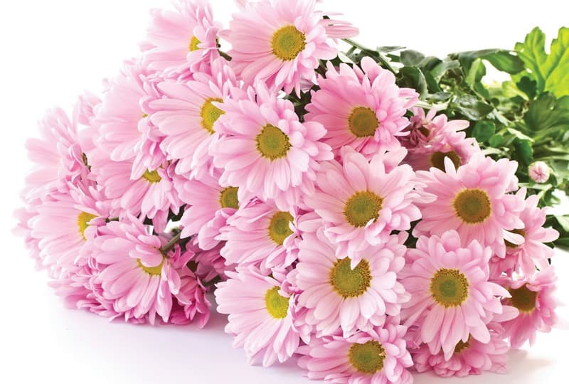 <span  class="uc_style_uc_tiles_grid_image_elementor_uc_items_attribute_title" style="color:#ffffff;">2251</span>