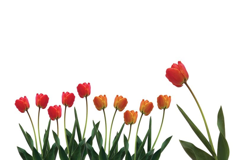 <span  class="uc_style_uc_tiles_grid_image_elementor_uc_items_attribute_title" style="color:#ffffff;">2259</span>