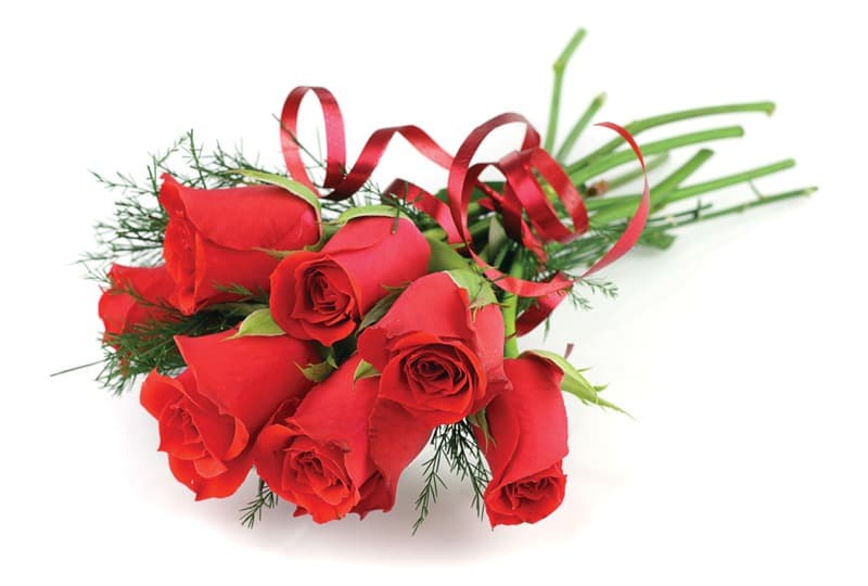 <span  class="uc_style_uc_tiles_grid_image_elementor_uc_items_attribute_title" style="color:#ffffff;">2261</span>