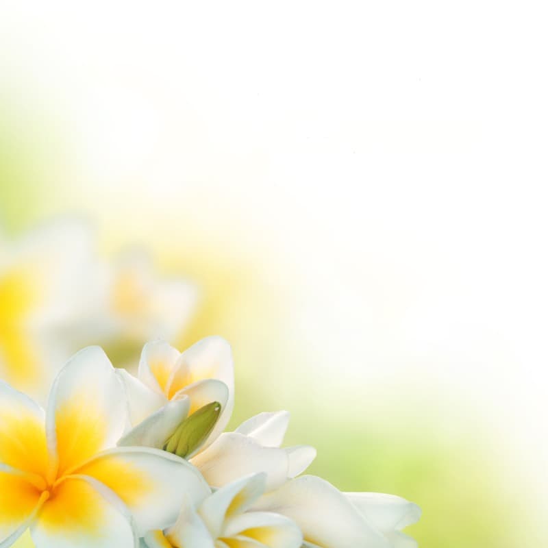 <span  class="uc_style_uc_tiles_grid_image_elementor_uc_items_attribute_title" style="color:#ffffff;">2270</span>