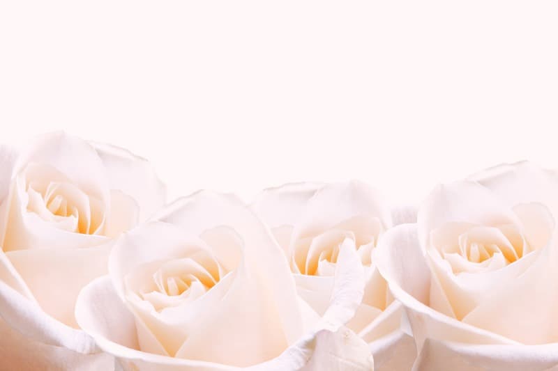 <span  class="uc_style_uc_tiles_grid_image_elementor_uc_items_attribute_title" style="color:#ffffff;">2272</span>