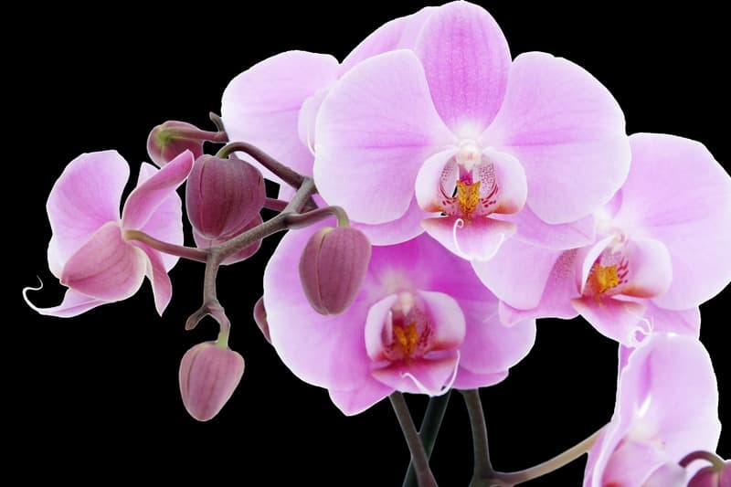 <span  class="uc_style_uc_tiles_grid_image_elementor_uc_items_attribute_title" style="color:#ffffff;">2273</span>