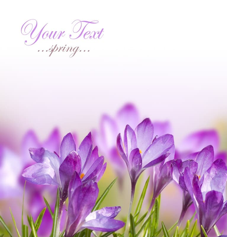 <span  class="uc_style_uc_tiles_grid_image_elementor_uc_items_attribute_title" style="color:#ffffff;">2277</span>