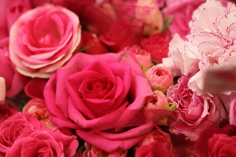 <span  class="uc_style_uc_tiles_grid_image_elementor_uc_items_attribute_title" style="color:#ffffff;">2279</span>