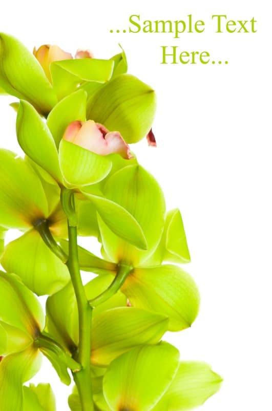 <span  class="uc_style_uc_tiles_grid_image_elementor_uc_items_attribute_title" style="color:#ffffff;">2281</span>