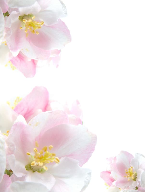 <span  class="uc_style_uc_tiles_grid_image_elementor_uc_items_attribute_title" style="color:#ffffff;">2287</span>