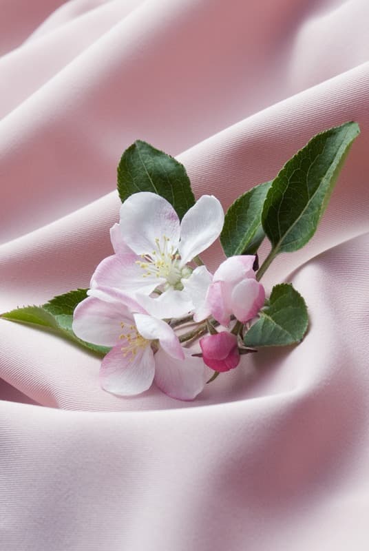 <span  class="uc_style_uc_tiles_grid_image_elementor_uc_items_attribute_title" style="color:#ffffff;">2292</span>