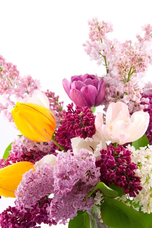 <span  class="uc_style_uc_tiles_grid_image_elementor_uc_items_attribute_title" style="color:#ffffff;">2293</span>