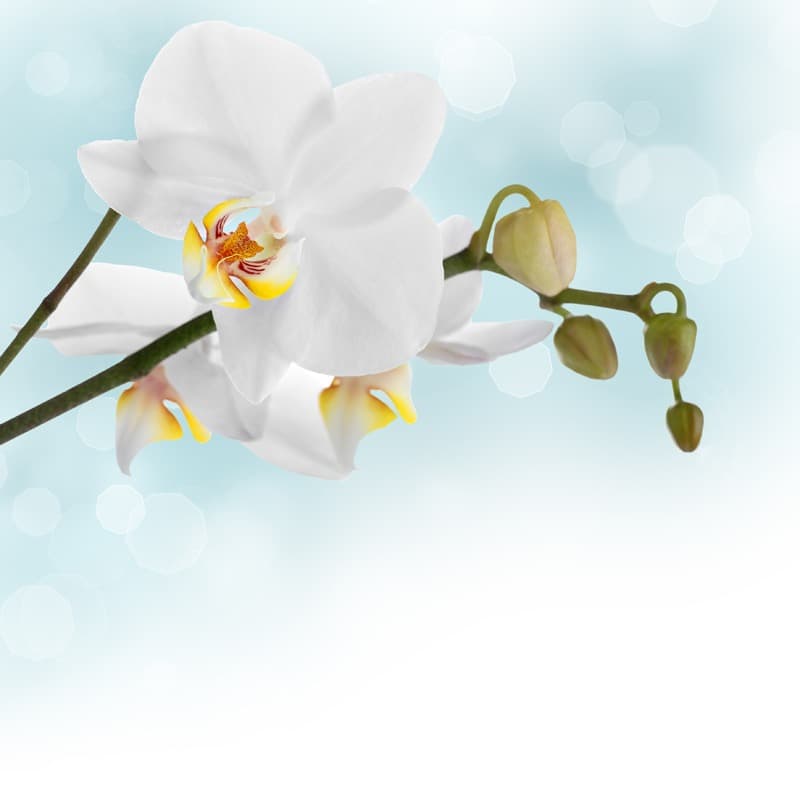 <span  class="uc_style_uc_tiles_grid_image_elementor_uc_items_attribute_title" style="color:#ffffff;">2298</span>