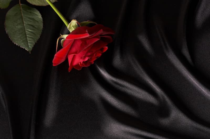 <span  class="uc_style_uc_tiles_grid_image_elementor_uc_items_attribute_title" style="color:#ffffff;">2300</span>