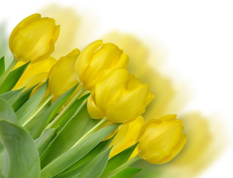 <span  class="uc_style_uc_tiles_grid_image_elementor_uc_items_attribute_title" style="color:#ffffff;">2305</span>