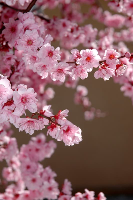 <span  class="uc_style_uc_tiles_grid_image_elementor_uc_items_attribute_title" style="color:#ffffff;">2320</span>