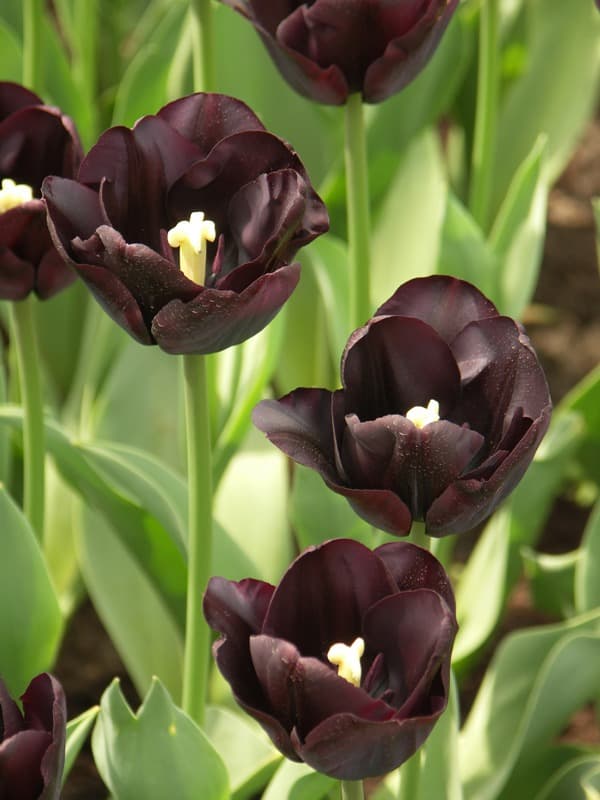 <span  class="uc_style_uc_tiles_grid_image_elementor_uc_items_attribute_title" style="color:#ffffff;">2321</span>