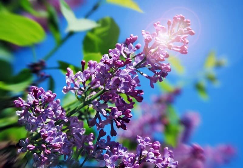 <span  class="uc_style_uc_tiles_grid_image_elementor_uc_items_attribute_title" style="color:#ffffff;">2328</span>