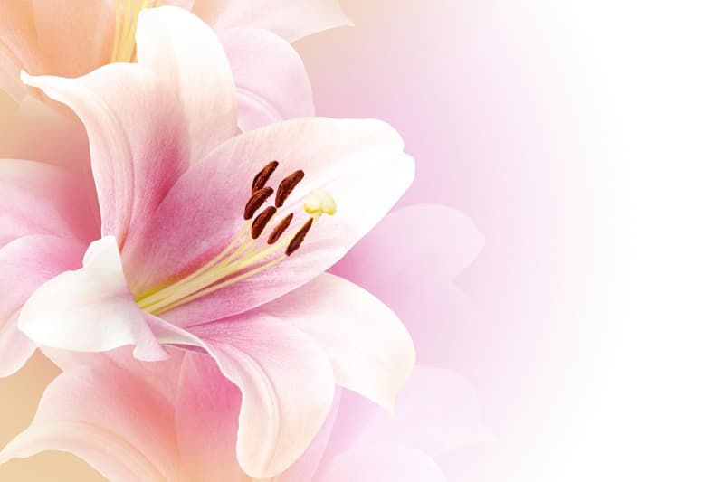 <span  class="uc_style_uc_tiles_grid_image_elementor_uc_items_attribute_title" style="color:#ffffff;">2334</span>