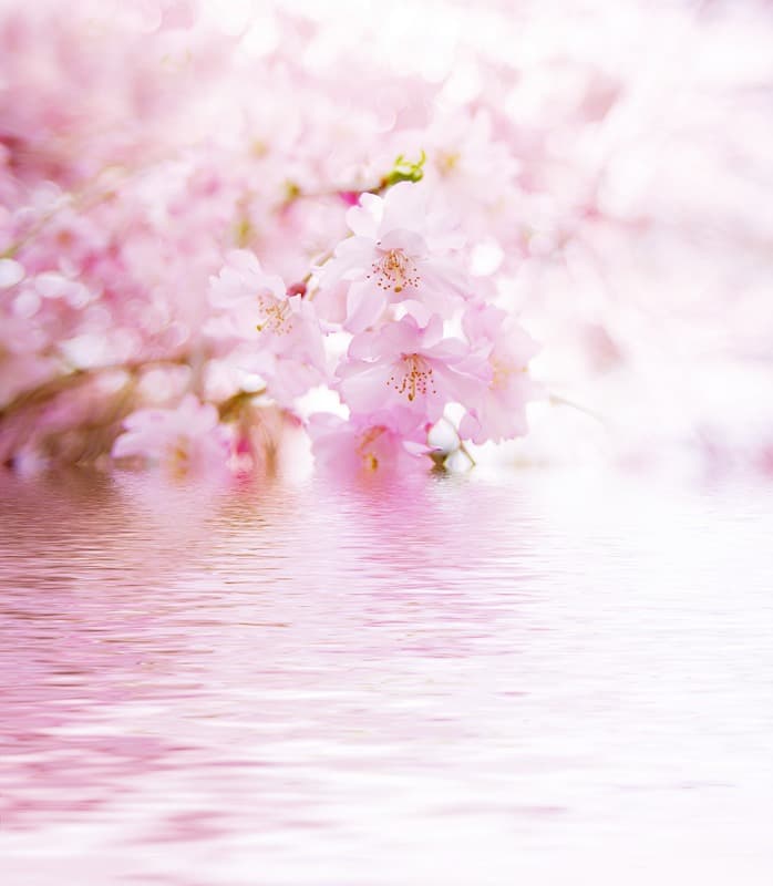 <span  class="uc_style_uc_tiles_grid_image_elementor_uc_items_attribute_title" style="color:#ffffff;">2336</span>