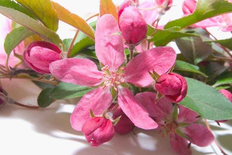 <span  class="uc_style_uc_tiles_grid_image_elementor_uc_items_attribute_title" style="color:#ffffff;">2341</span>