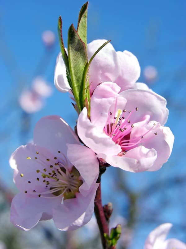 <span  class="uc_style_uc_tiles_grid_image_elementor_uc_items_attribute_title" style="color:#ffffff;">2348</span>