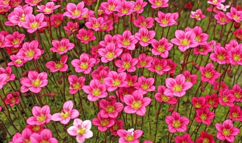 <span  class="uc_style_uc_tiles_grid_image_elementor_uc_items_attribute_title" style="color:#ffffff;">2352</span>