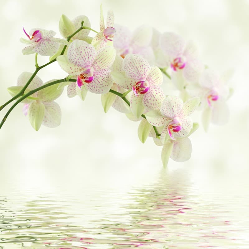 <span  class="uc_style_uc_tiles_grid_image_elementor_uc_items_attribute_title" style="color:#ffffff;">2353</span>
