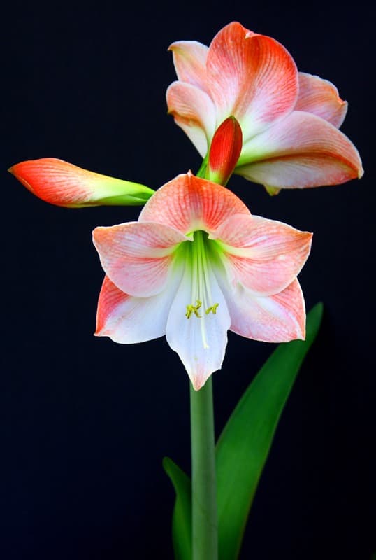 <span  class="uc_style_uc_tiles_grid_image_elementor_uc_items_attribute_title" style="color:#ffffff;">2364</span>