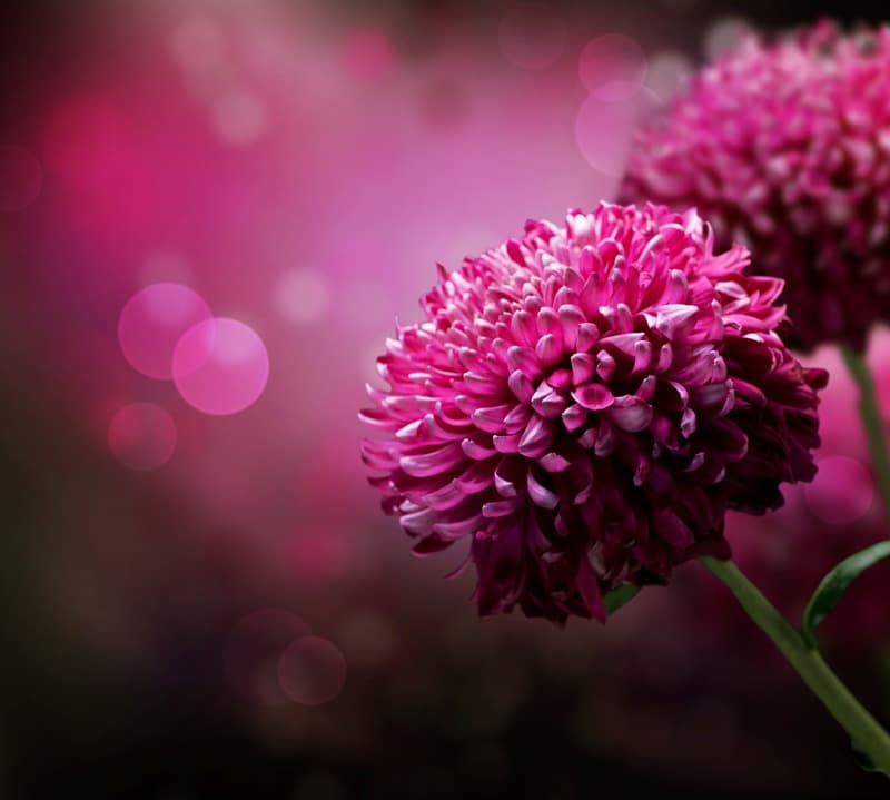 <span  class="uc_style_uc_tiles_grid_image_elementor_uc_items_attribute_title" style="color:#ffffff;">2367</span>
