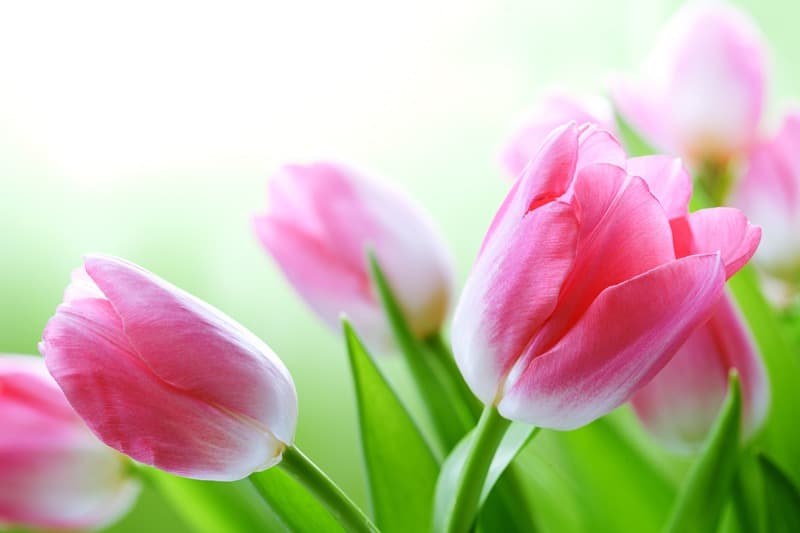 <span  class="uc_style_uc_tiles_grid_image_elementor_uc_items_attribute_title" style="color:#ffffff;">2375</span>