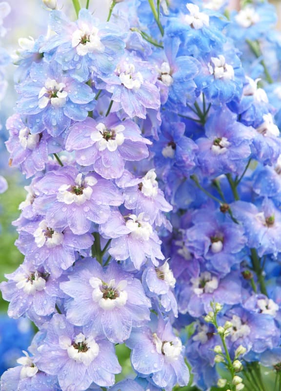 <span  class="uc_style_uc_tiles_grid_image_elementor_uc_items_attribute_title" style="color:#ffffff;">2376</span>