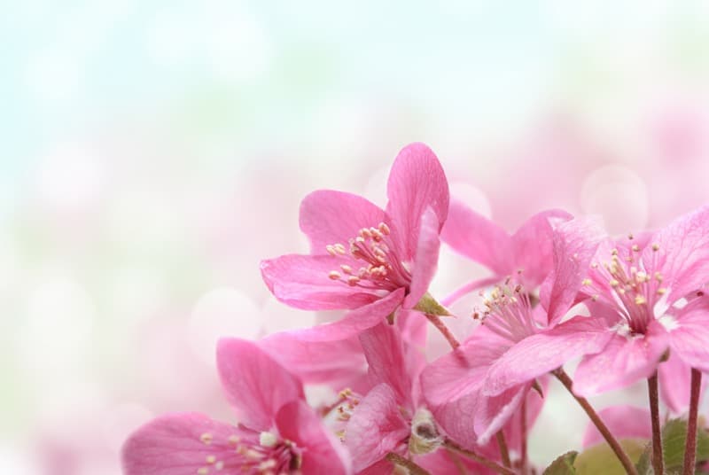 <span  class="uc_style_uc_tiles_grid_image_elementor_uc_items_attribute_title" style="color:#ffffff;">2383</span>