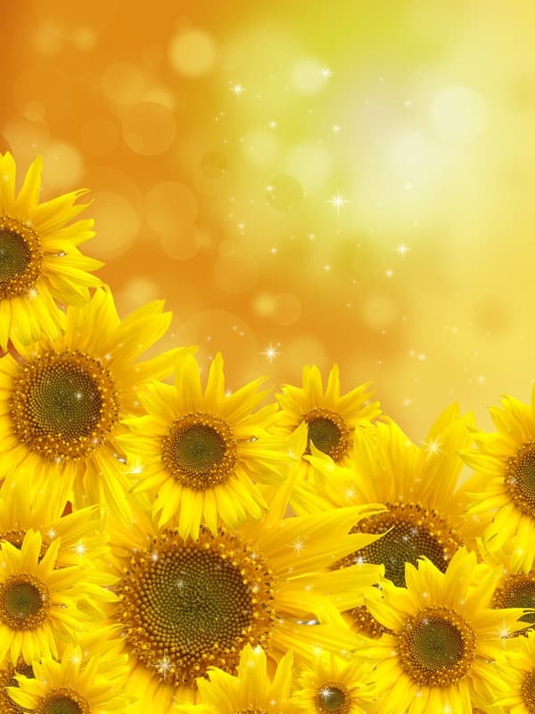 <span  class="uc_style_uc_tiles_grid_image_elementor_uc_items_attribute_title" style="color:#ffffff;">2384</span>