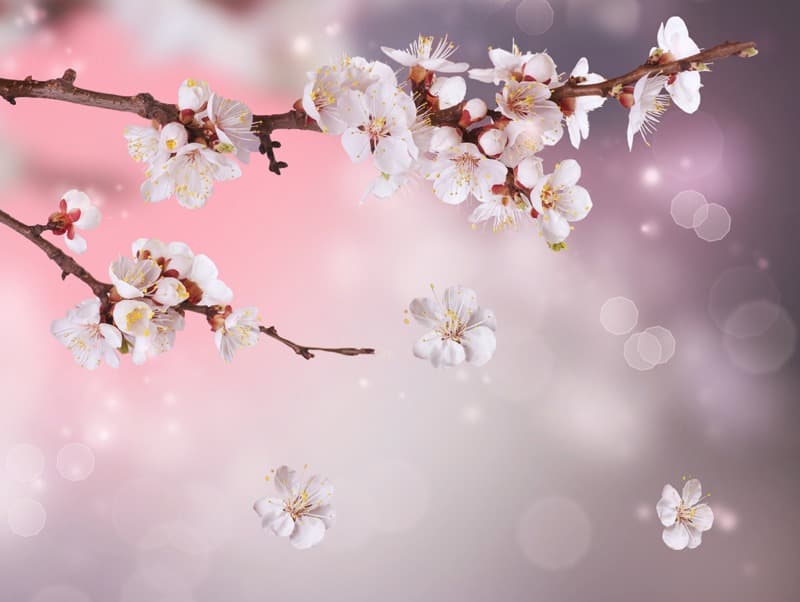 <span  class="uc_style_uc_tiles_grid_image_elementor_uc_items_attribute_title" style="color:#ffffff;">2385</span>