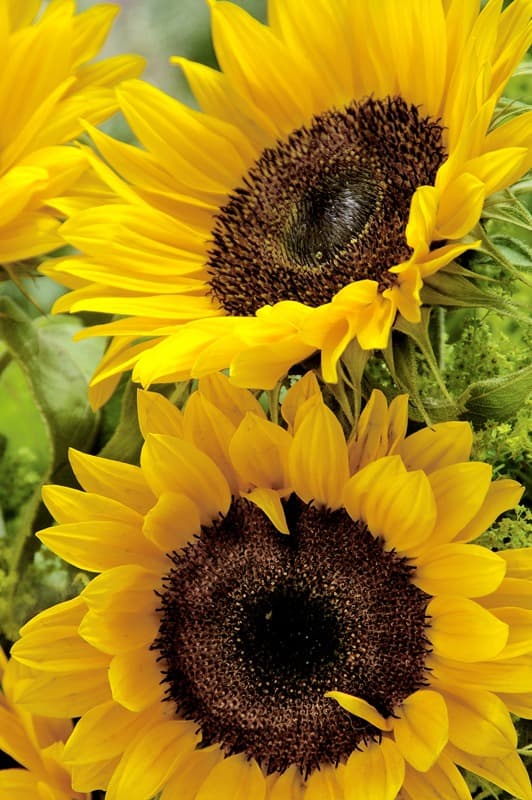 <span  class="uc_style_uc_tiles_grid_image_elementor_uc_items_attribute_title" style="color:#ffffff;">2386</span>