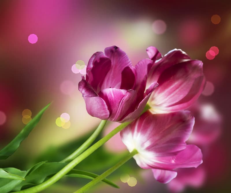 <span  class="uc_style_uc_tiles_grid_image_elementor_uc_items_attribute_title" style="color:#ffffff;">2389</span>