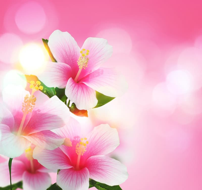<span  class="uc_style_uc_tiles_grid_image_elementor_uc_items_attribute_title" style="color:#ffffff;">2391</span>