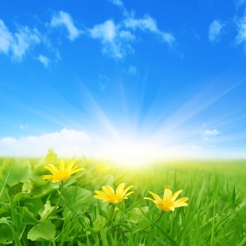 <span  class="uc_style_uc_tiles_grid_image_elementor_uc_items_attribute_title" style="color:#ffffff;">2392</span>