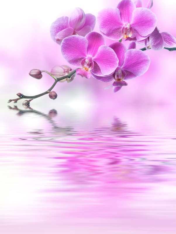 <span  class="uc_style_uc_tiles_grid_image_elementor_uc_items_attribute_title" style="color:#ffffff;">2393</span>